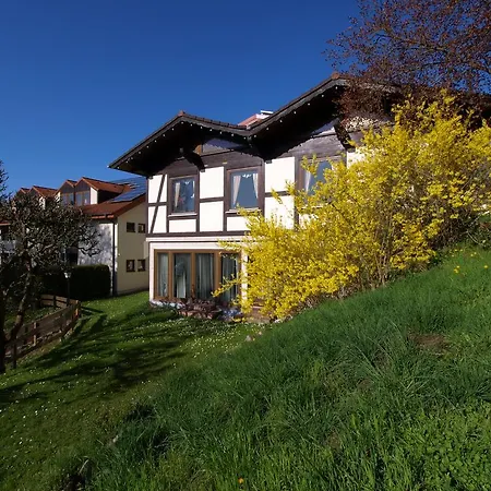 Silbertanne Rotenburg an der Fulda